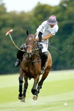 Horse Times Egypt: Equestrian Magazine :News :POLO CLUB DU DOMAINE DE CHANTILLY