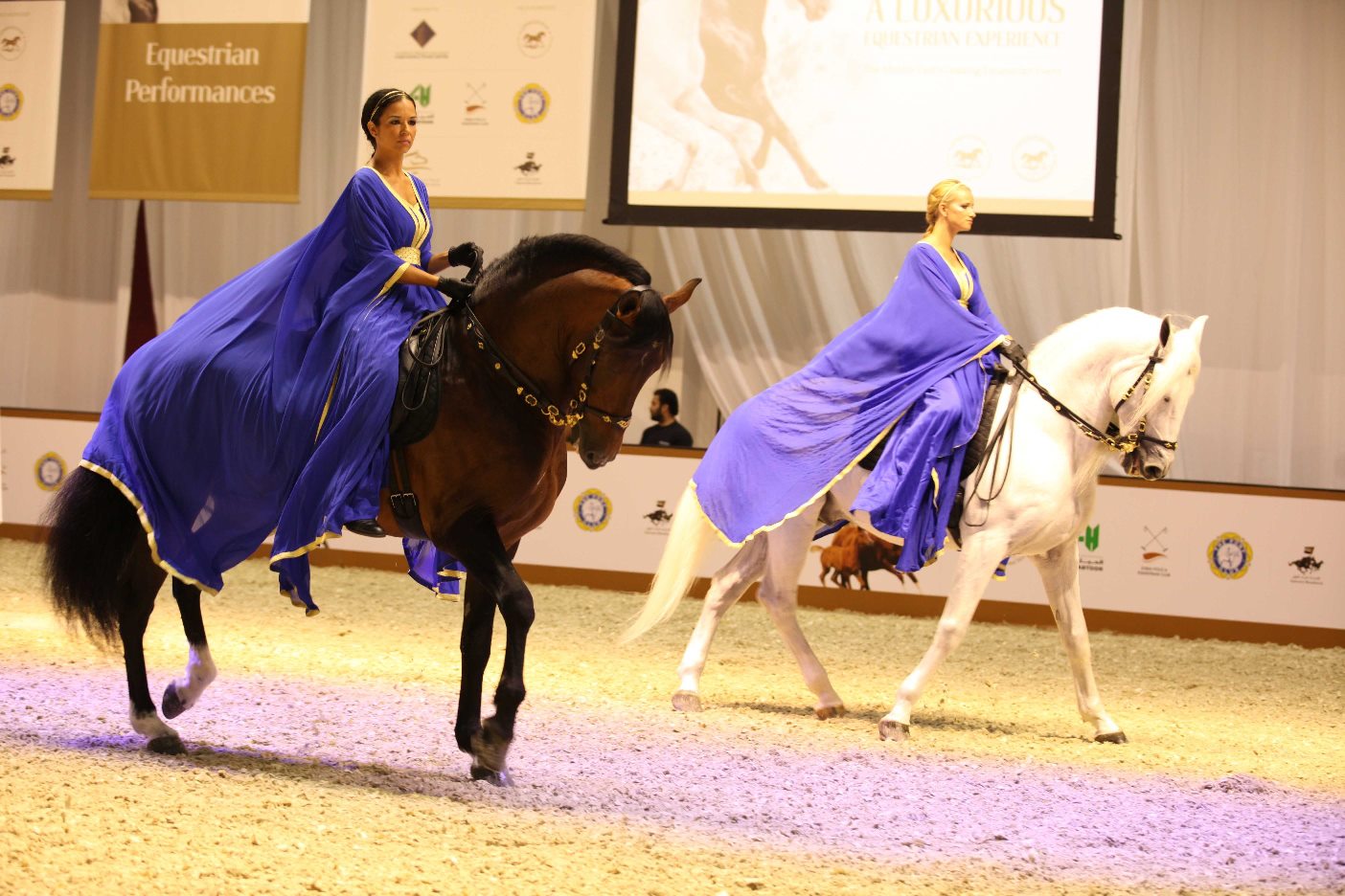 Horse Times Egypt: Equestrian Magazine :News :AN EQUESTRIAN EXTRAVAGANZA! DUBAI INTERNATIONAL HORSE FAIR DRAWS GLOBAL AND REGIONAL COMMUNITY OF HORSE ENTHUSIASTS
