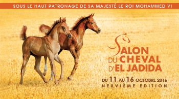 Horse Times Egypt: Equestrian Magazine :News :SALON DU CHEVAL D'EL JADIDA 2016 - ALL RESULTS