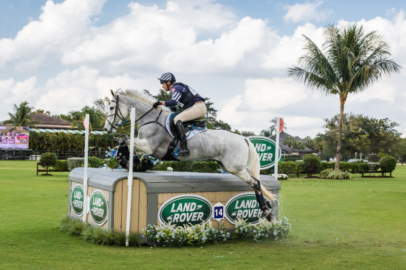 Horse Times Egypt: Equestrian Magazine :News :U.S. EVENT RIDER, BOYD MARTIN, CREATES HISTORY WITH THIRD CONSECUTIVE WIN AT THE LAND ROVER WELLINGTON EVENTING SHOWCASE