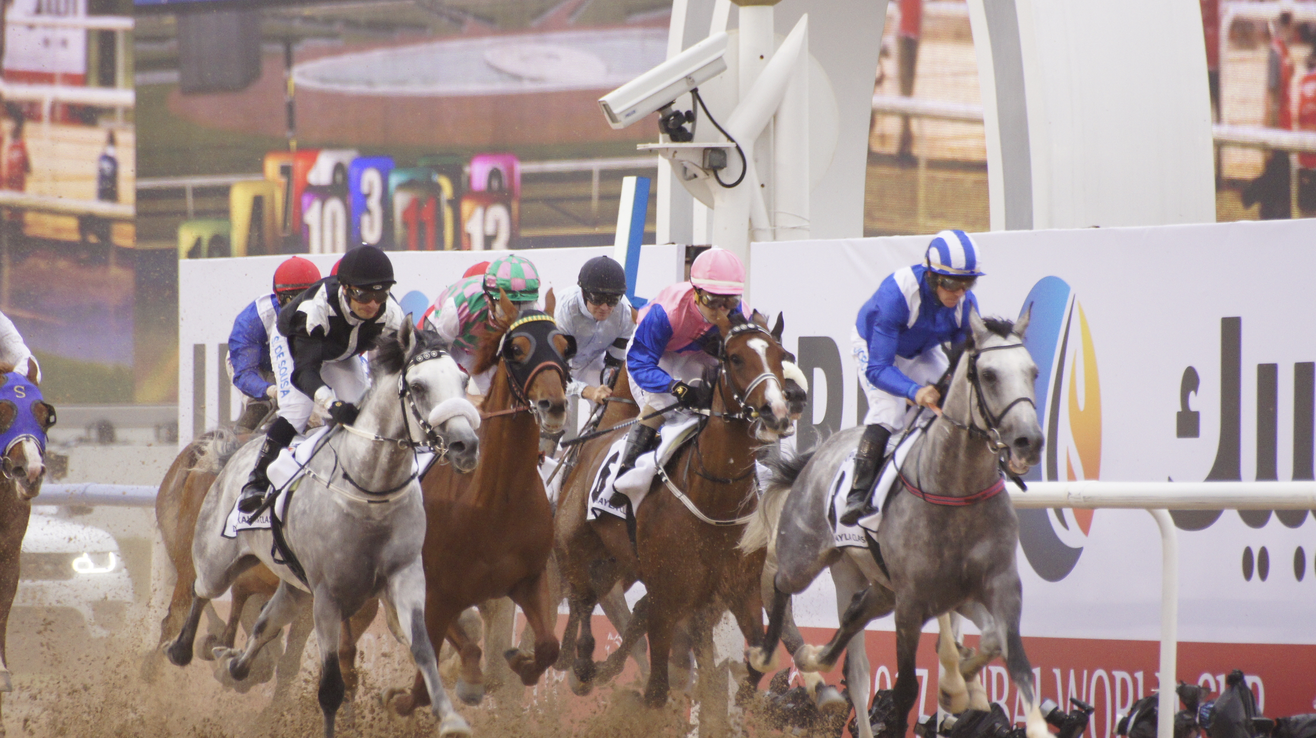 Horse Times Egypt: Equestrian Magazine :News :DUBAI WORLD CUP 2017 : RESULTS 
