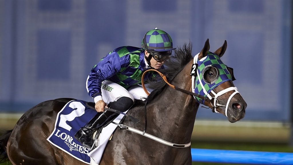 Horse Times Egypt: Equestrian Magazine :News :EXCITEMENT SETS IN AT MEYDAN IN FINAL PRE-CARNIVAL MEETING