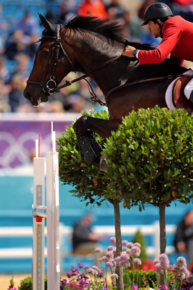 Horse Times Egypt: Equestrian Magazine :News : LONDON 2012 OLYMPIC SHOW JUMPING - DUTCH OFF TO FLYING START