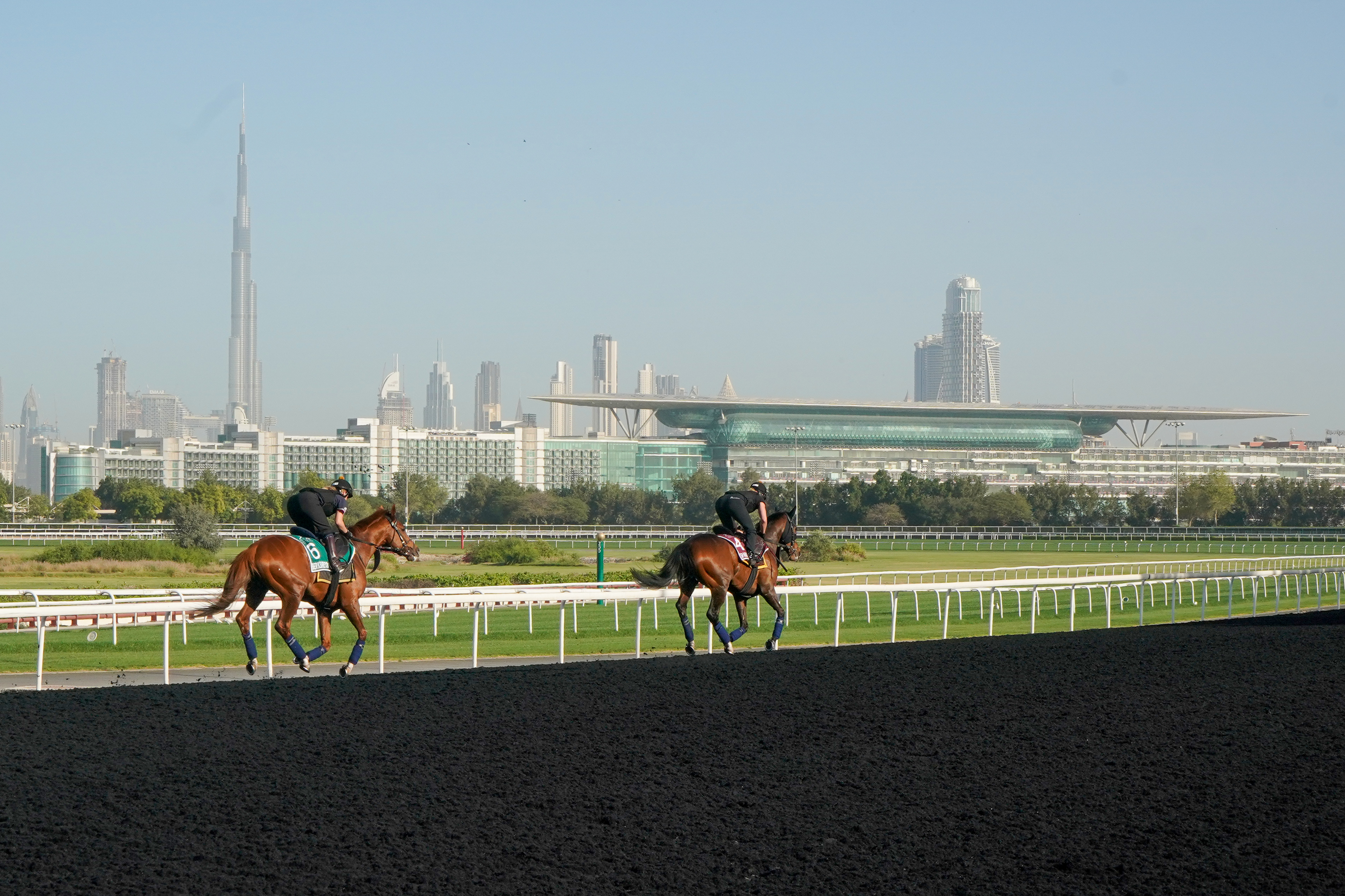 Horse Times Egypt: Equestrian Magazine :News :THE 25TH DUBAI WORLD CUP 2021 KICKS OFF TODAY