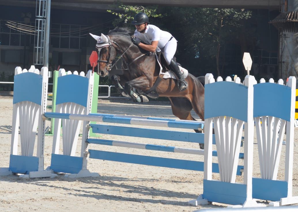 Horse Times Egypt: Equestrian Magazine :News :An Egyptian Rider Review on Equinia Horses