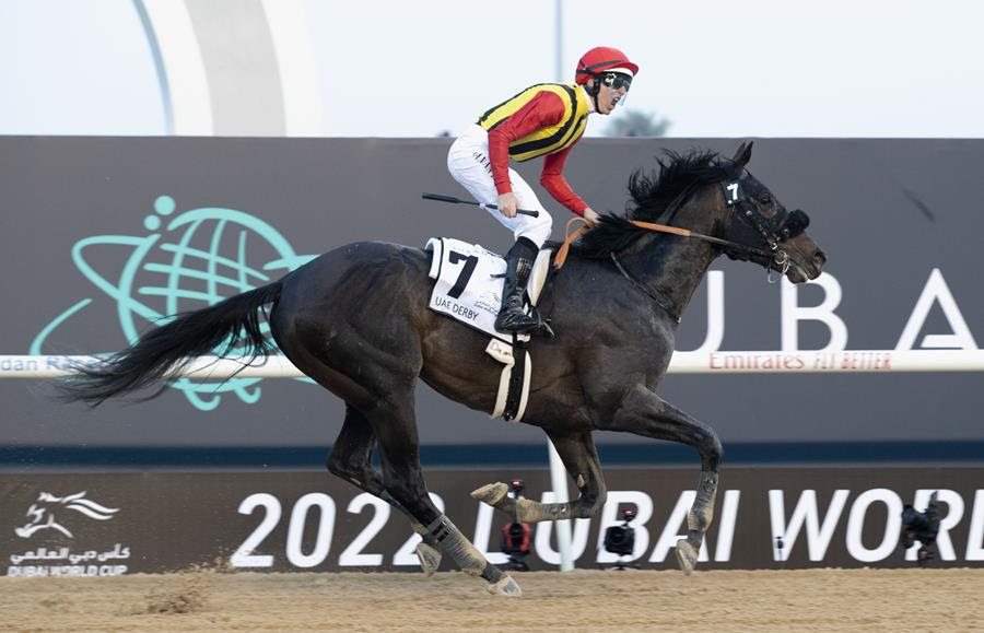 Horse Times Egypt: Equestrian Magazine :News :CROWN PRIDE LANDS THE UAE DERBY AND MAKES JAPAN PROUD 
