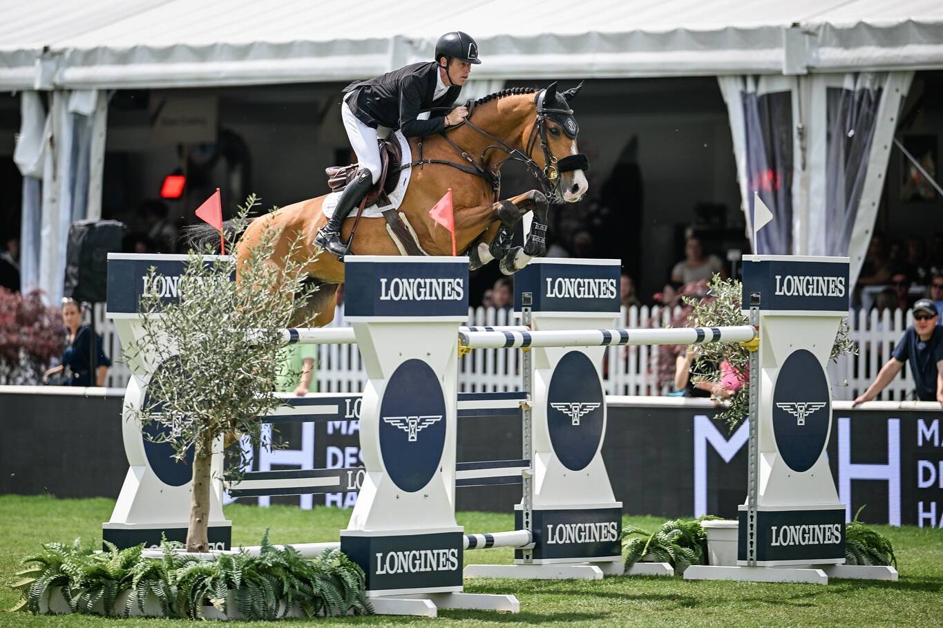 Horse Times Egypt: Equestrian Magazine :News :SCOTT BRASH AND HIS HORSE HELLO JEFFERSON WIN THE LONGINES GRAND PRIX OF SWITZERLAND AT ST. GALLEN