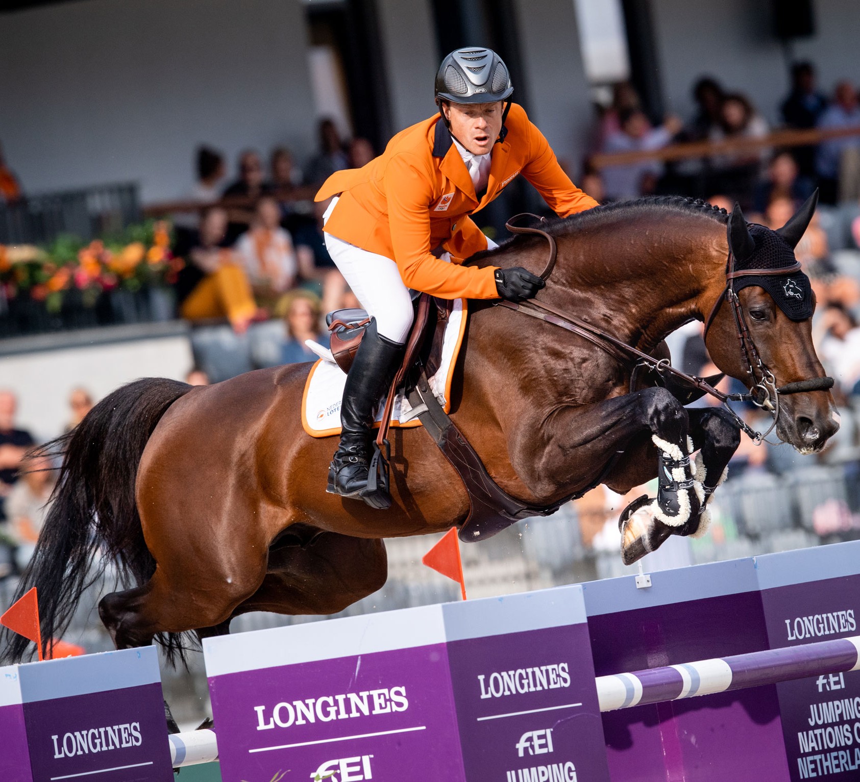 Horse Times Egypt: Equestrian Magazine :News :WILLEM GREVE: ''IN THE LEAGUE, YOU WANT TO SHINE''