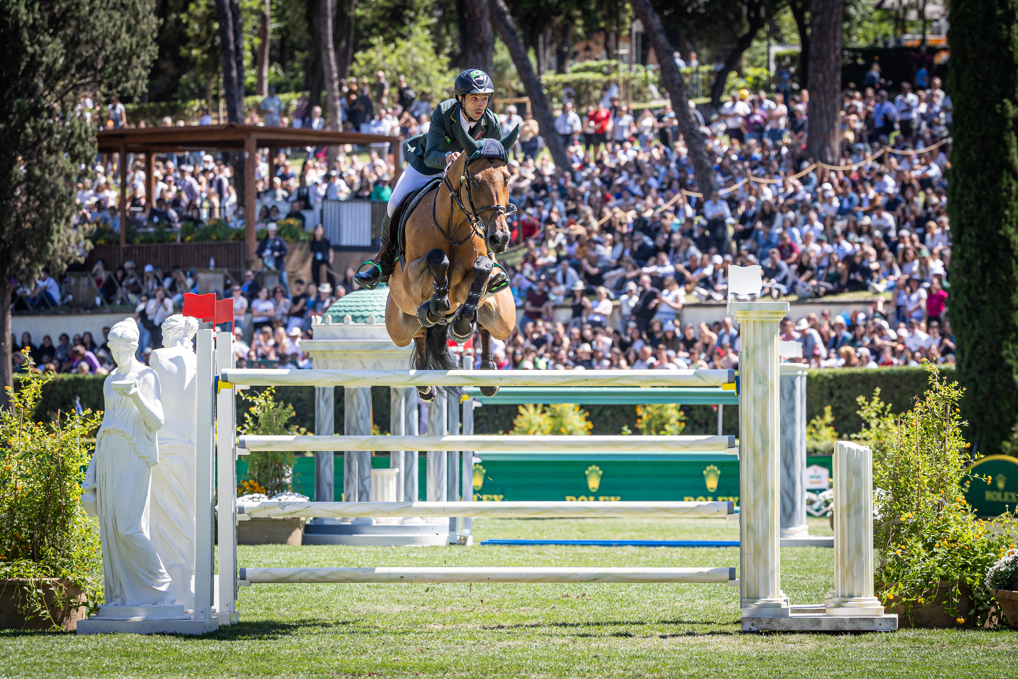 Horse Times Egypt: Equestrian Magazine :News :MAGNIFICENT MOUNT OF YURI MANSUR MISS BLUE DIES 