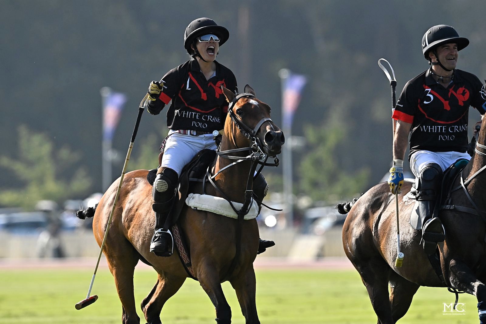 Horse Times Egypt: Equestrian Magazine :News :WHITE CRANE BLACK WINS ASTON MARTIN PRINCE OF WALES'S CHAMPIONSHIP CUP