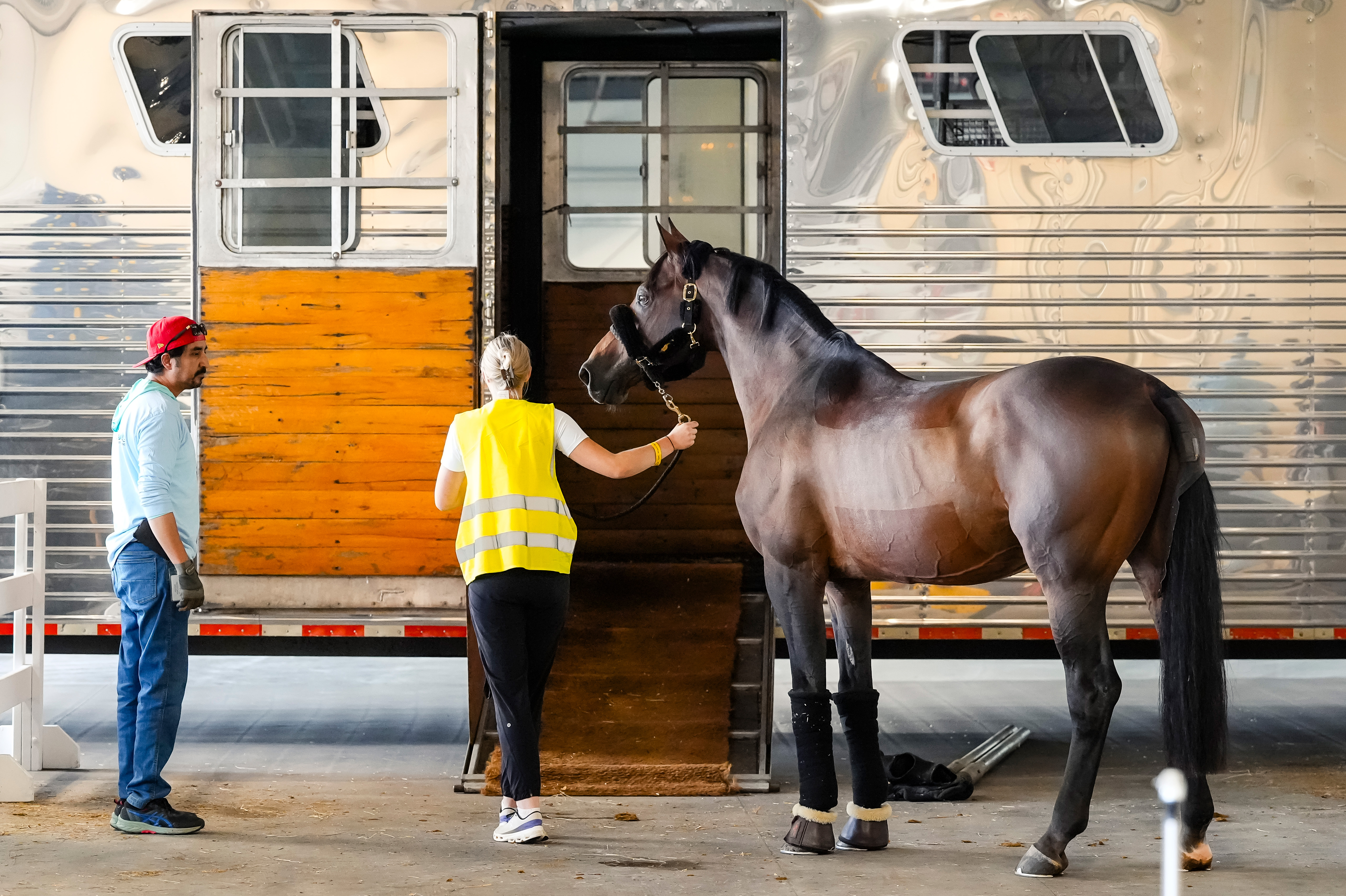 Horse Times Egypt: Equestrian Magazine :News :RECORD 98 HORSES ARRIVE FOR SPRUCE MEADOWS 'MASTERS'