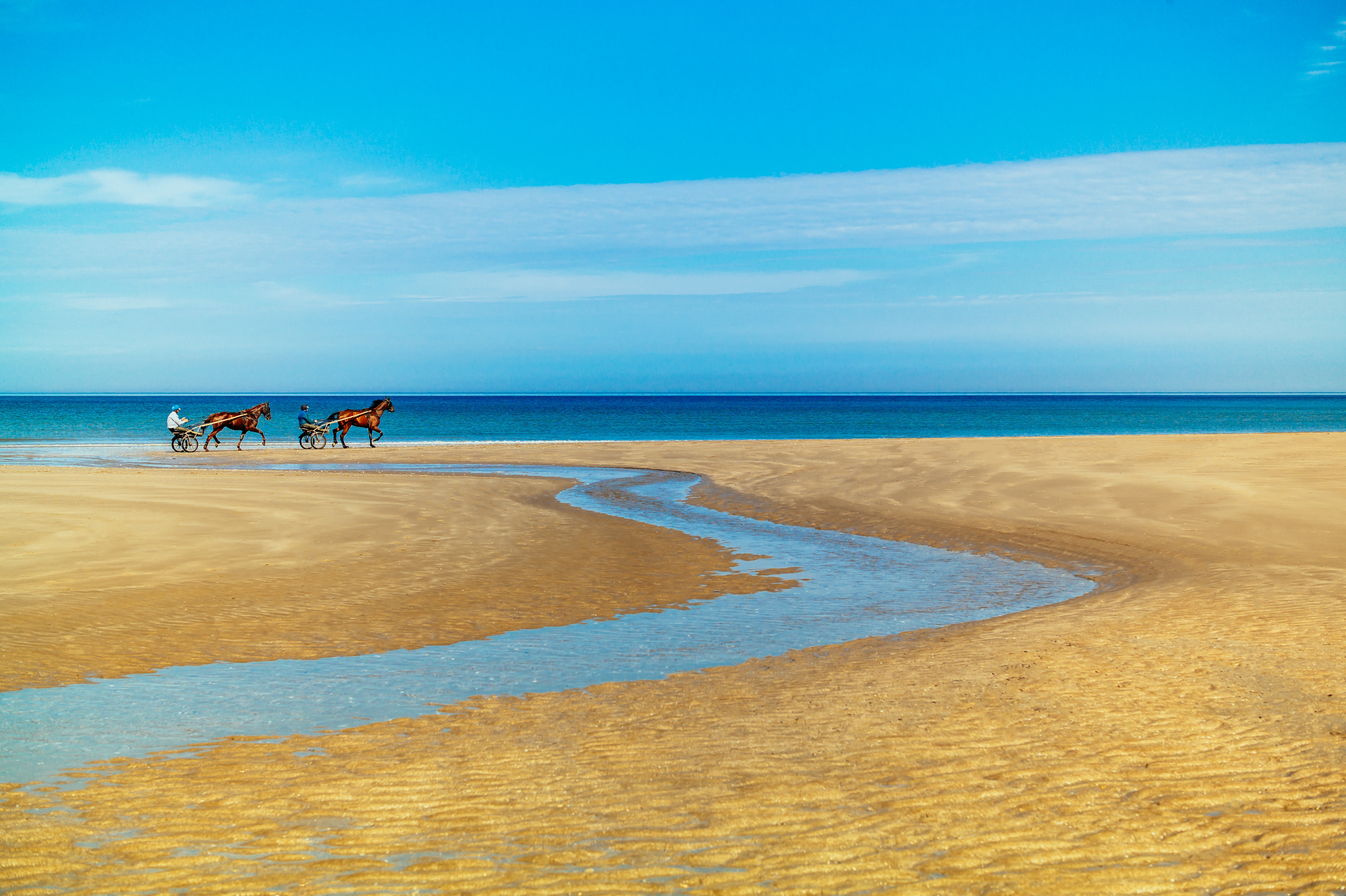 Horse Times Egypt: Equestrian Magazine :News :SENEGAL SET TO HOST YOUTH OLYMPIC GAMES IN DAKAR IN 2026